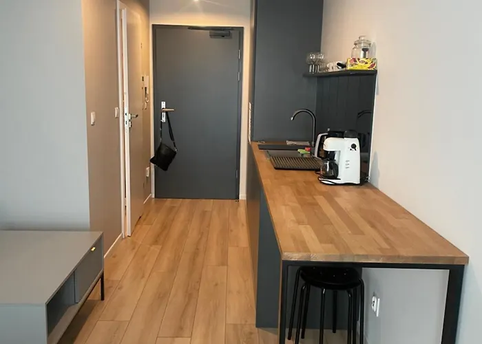 Plac Wolnosci 6 Z Klimatyzacja 3*